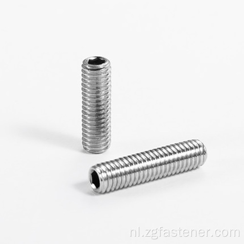 DIN913 Hexagon Hex Socket Set -schroeven met roestvrijstalen met platte uiteinde